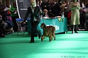 Crufts2011 770